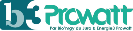logo b3 prowatt